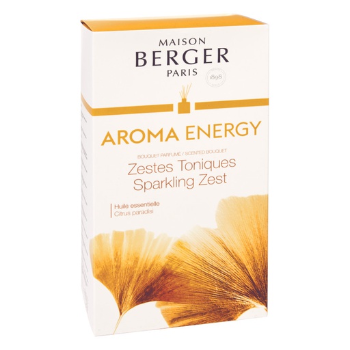 [BERG00203] Maison Berger Duftbouquet Aroma Energy